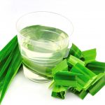 Pandan_Drink_ThongLo